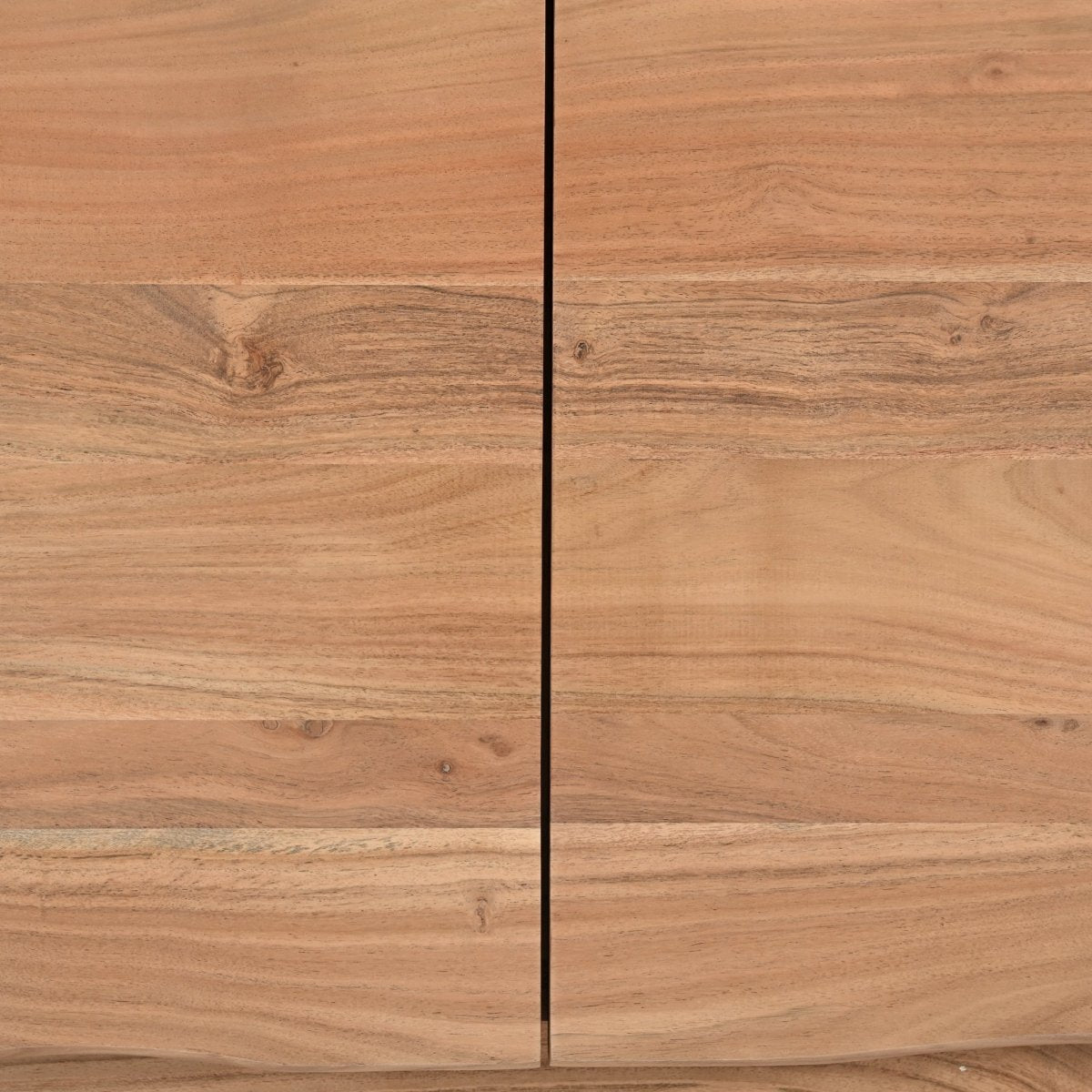 Davis Two Door Cabinet - OPULENT Co