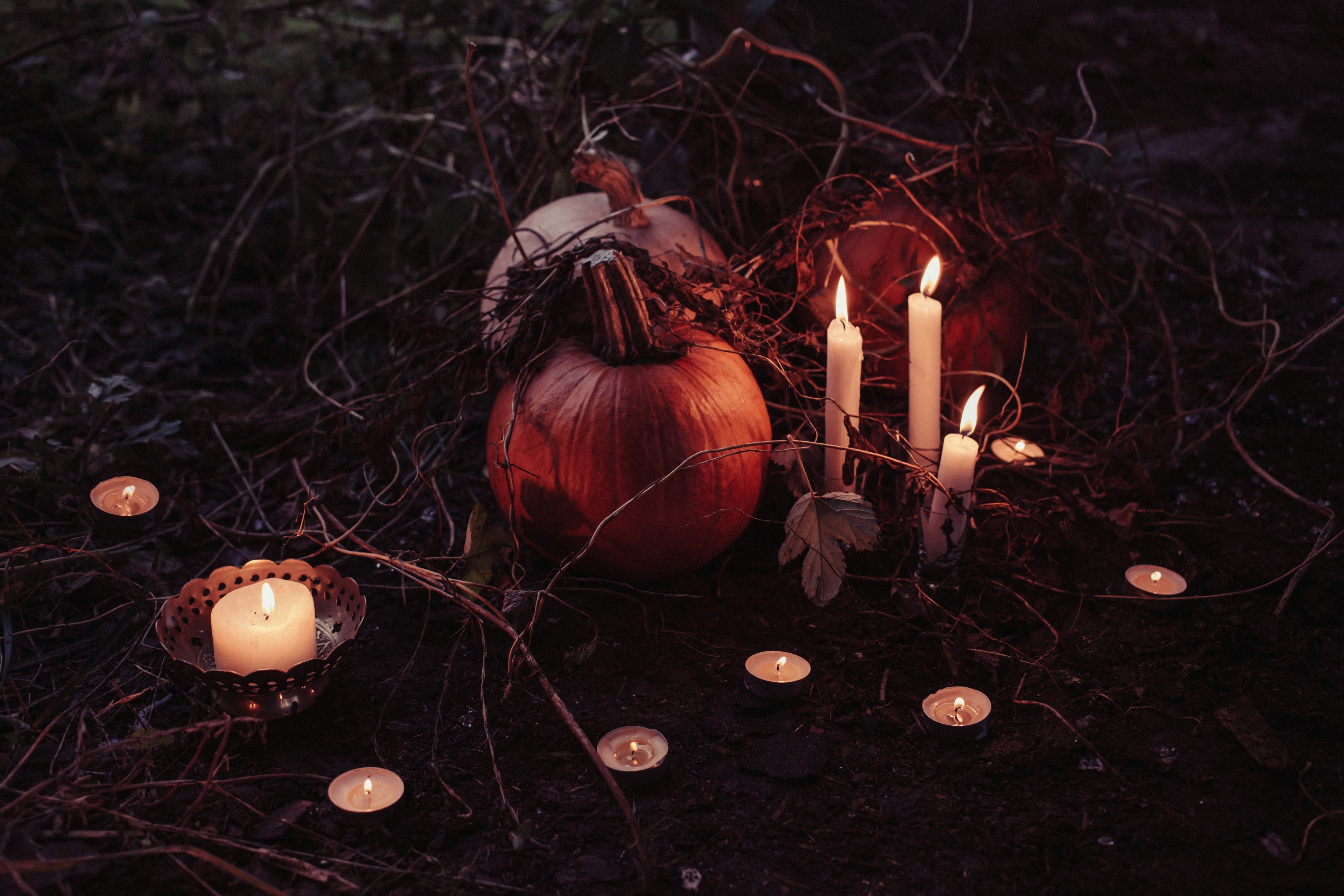 Halloween Home Décor Ideas: Elegant and Chic Styling - OPULENT Co