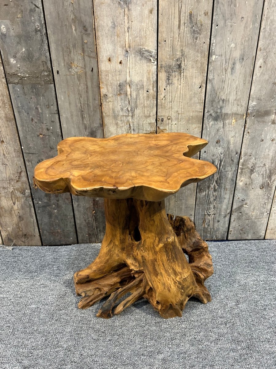 Teak Root Side Table - OPULENT Co