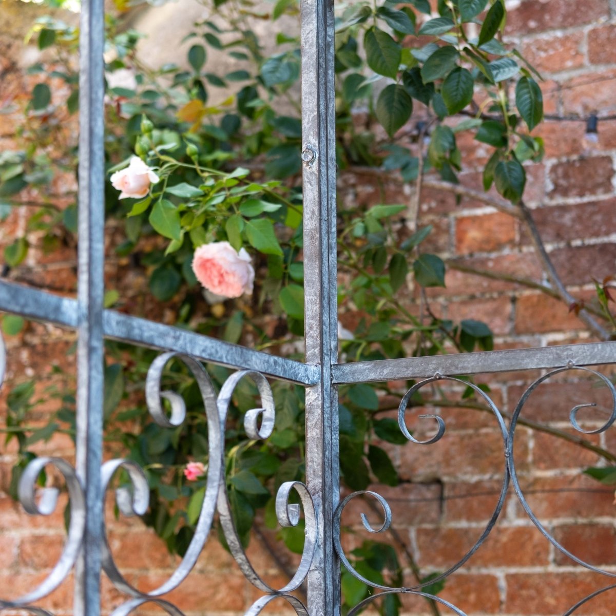 Victorian Glasshouse Frame - OPULENT Co